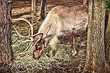 Reindeer Lunch_19892